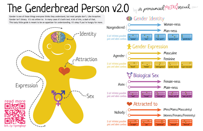GenderbreadV2