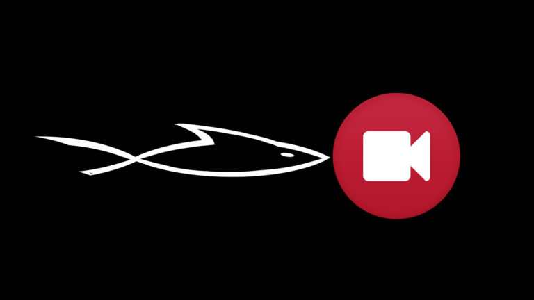 New FBC videos on gender chaos, freedom, and American Socialism. New FBC videos on gender chaos, freedom, and American Socialism.