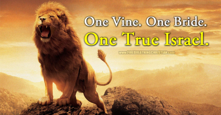 One Vine. One Bride. One True Israel. One Vine. One Bride. One True Israel.